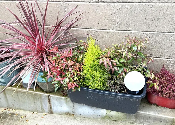 度假居 4 Bed House Sleeps 7 - Parking Garden Wifi *